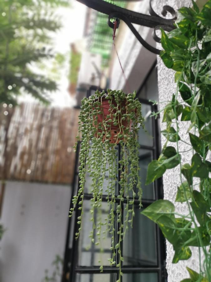 林人酒店 Jingan 外观 照片